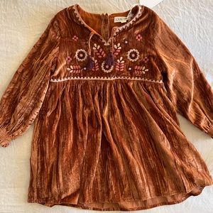 Louise Misha Josette Embroidered Velvet Dress in Caramel